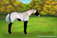 Horse Color:Red Onyx Ice Roan Splash 