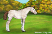 Horse Color:Blue Onyx Ice Pearl 