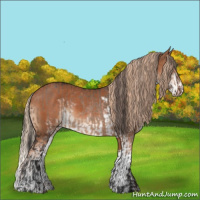 Horse Color:Bay Dun Rabicano Brindle  and Chestnut Sabino 