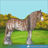 Horse Color:Bay Dun Rabicano Brindle  and Chestnut Sabino 