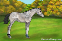 Horse Color:Blue Onyx Ice