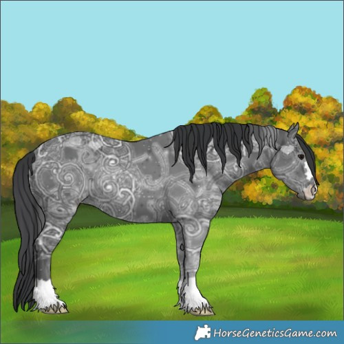 Horse Color:Black Ice 