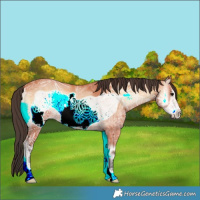 Horse Color:Bay Ice Onyx Frame 