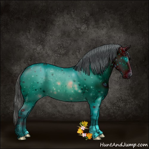 Horse Color:ERROR: UNKNOWN ANOMALY
