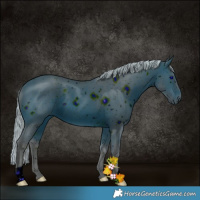 Horse Color:ERROR: UNKNOWN ANOMALY