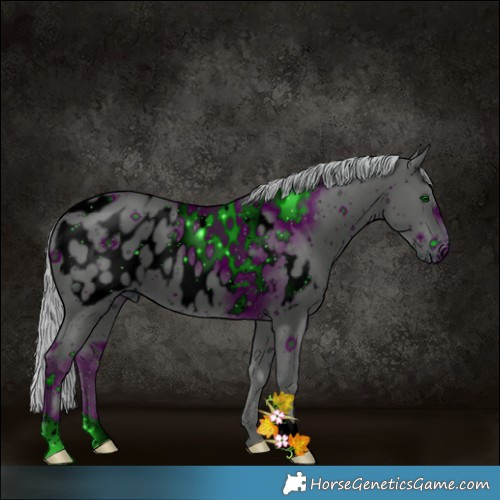 Horse Color:ERROR: UNKNOWN ANOMALY