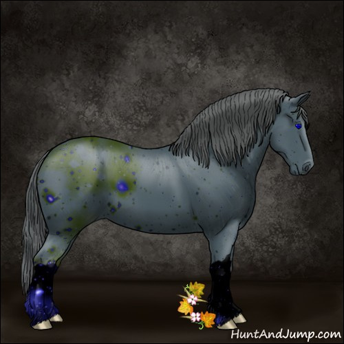 Horse Color:ERROR: UNKNOWN ANOMALY