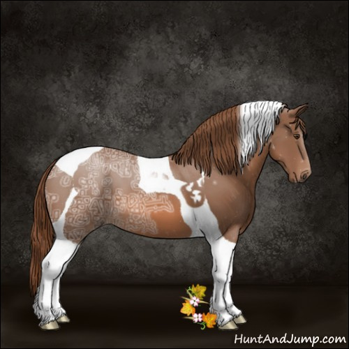 Horse Color:Chestnut Ice Tobiano 