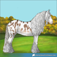 Horse Color:Liver Red Dun Blanket 