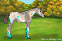 Horse Color:Liver Red Onyx Ice