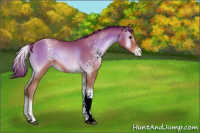 Horse Color:White Spotted Brown Pearl Onyx 