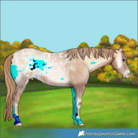Horse Color:Red Onyx Ice Pearl 