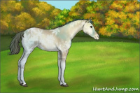 Horse Color:Blue Onyx Ice Pearl 