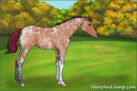 Horse Color:Painted Bay Ice 