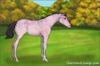Horse Color:Bay Ice 