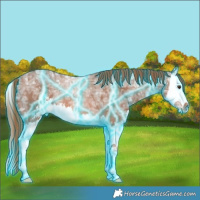 Horse Color:Thunderstruck Red Ice Roan Sabino Splash 