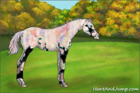 Horse Color:Nacre Silver Bay Ice Dun Splash 