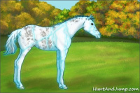 Horse Color:Thunderstruck Smoky Black Ice Sabino 