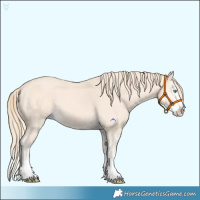Horse Color:Cremello Splash and Perlino Splash