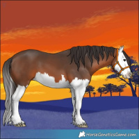 Horse Color:Brown Splash 