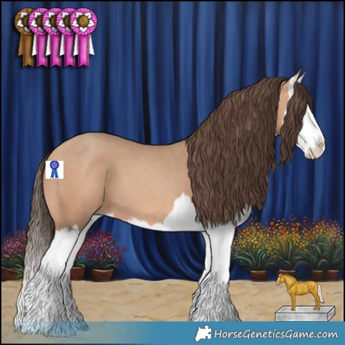 Horse Color:Amber Champagne Splash 
