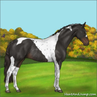 Horse Color:Liver Chestnut Tobiano Rabicano
