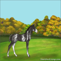 Horse Color:White Spotted Liver Chestnut Tobiano 