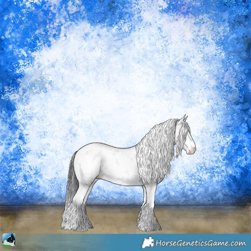 Horse Color:Black Sabino Rabicano