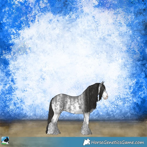 Horse Color:Liver Chestnut Sabino Rabicano 