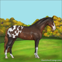 Horse Color:Liver Chestnut Sabino Blanket 