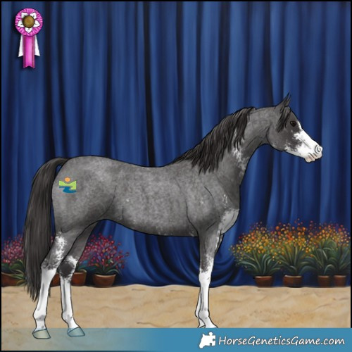 Horse Color:Smoky Blue Roan Sabino 