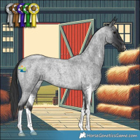 Horse Color:Blue Roan Sabino 