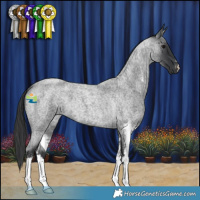 Horse Color:Blue Roan Sabino