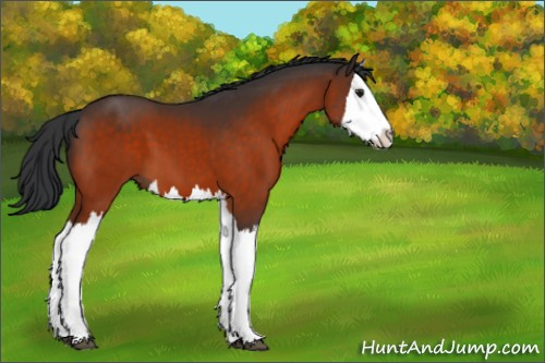 Horse Color:Brown Splash 