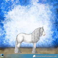 Horse Color:Watercolor Silver Brown Sabino Rabicano