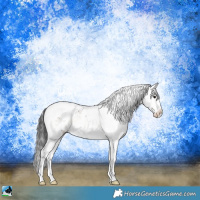 Horse Color:White Spotted Brown Onyx Sabino Appaloosa Rabicano 