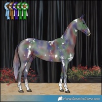 Horse Color:Nacre White Spotted Brown Sabino Rabicano