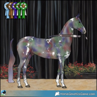Horse Color:Nacre White Spotted Brown Sabino Rabicano 