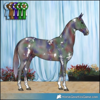 Horse Color:Nacre White Spotted Brown Sabino Rabicano