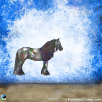 Horse Color:Nacre White Spotted Black Rabicano