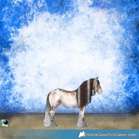 Horse Color:White Spotted Sable Champagne Onyx Rabicano