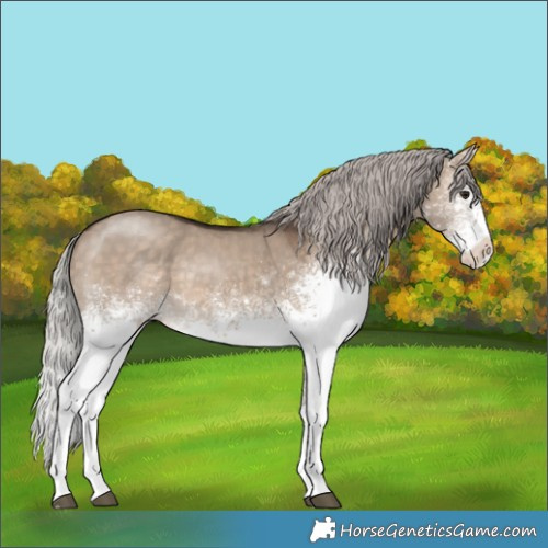 Horse Color:White Spotted Silver Brown Dun 