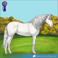Horse Color:White Spotted Chocolate Silver Perlino Roan Dun Splash 