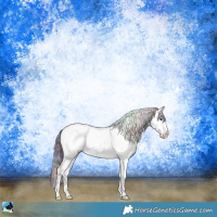 Horse Color:Nacre Black Sabino Rabicano 