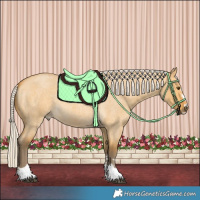 Horse Color:Silver Buckskin Roan Dun 