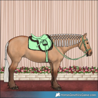 Horse Color:Silver Bay Dun