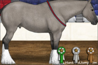 Horse Color:Grullo Roan 