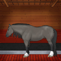 Horse Color:Grullo 
