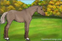 Horse Color:Silver Grullo 