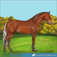 Horse Color:Silver Bay 